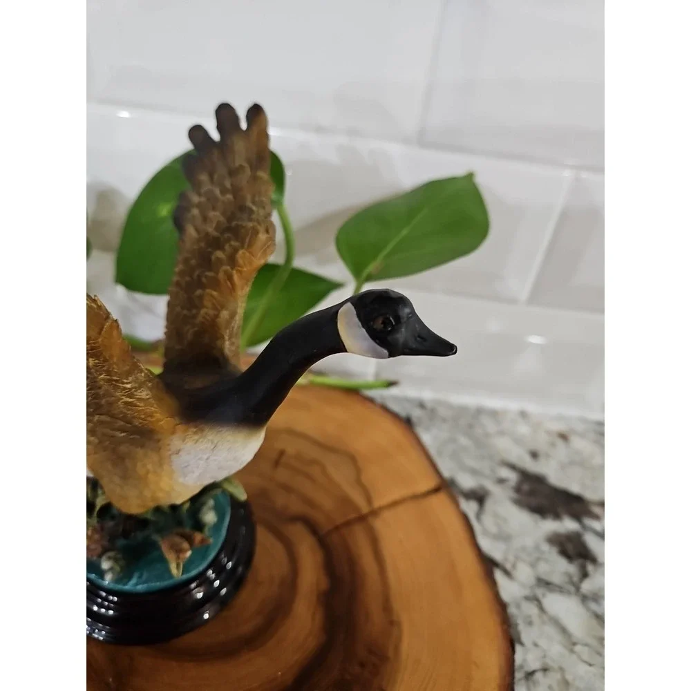 Canadian Goose In Marsh nicer Ready For Flight Figurine 5.25